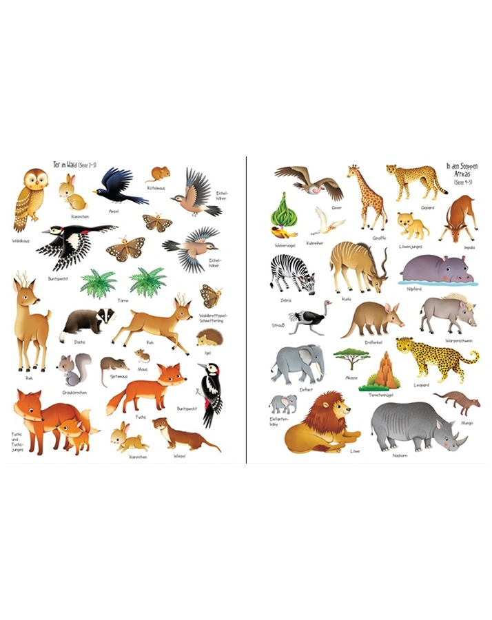 Mein erstes Stickerbuch / Mein erstes Stickerbuch: In der Natur