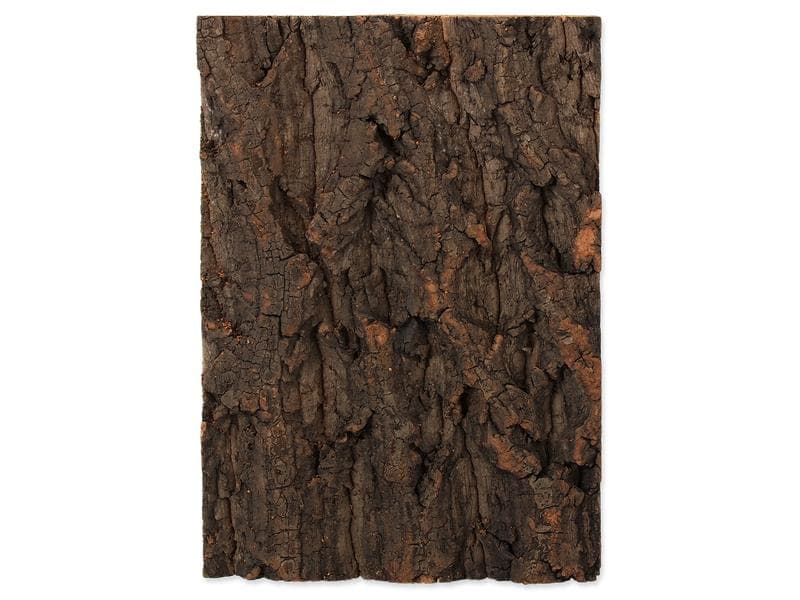 Repti Planet Kork-Rück Wand 19 x 27.3 x 2 cm Terrarienrückwand aus Kork