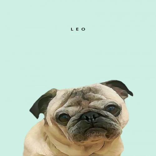 Retrato personalizado em tamanho A4 do seu animal de estimação na cor verde menta.