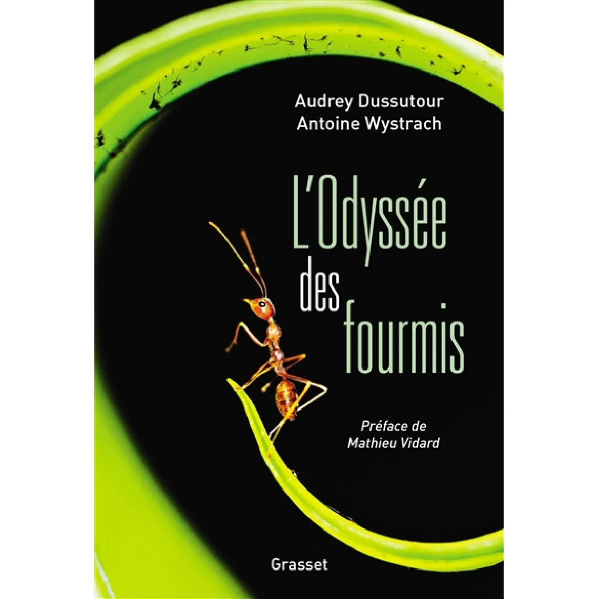 L'odyssée des fourmis · Occasion