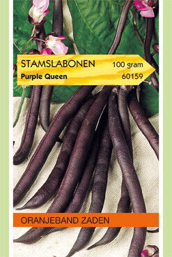 Oranjeband zaden Stamslabonen Purple Queen - Groentezaden - 100 Gram