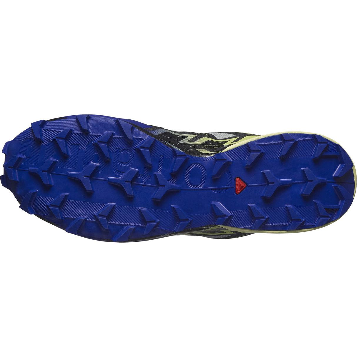 Salomon<br>Speedcross 6 GTX
