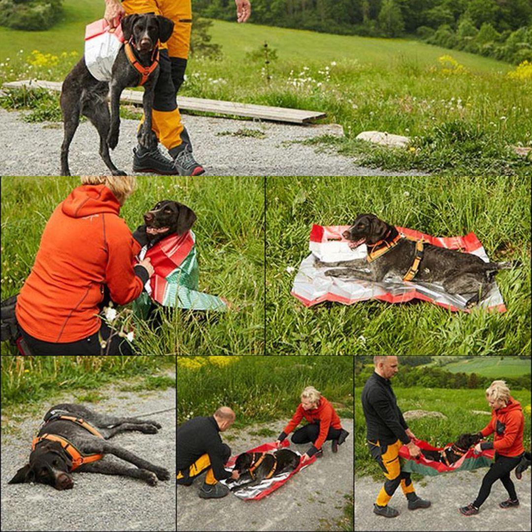 SOS Hunde-Rettungsdecke - Knauder's Best