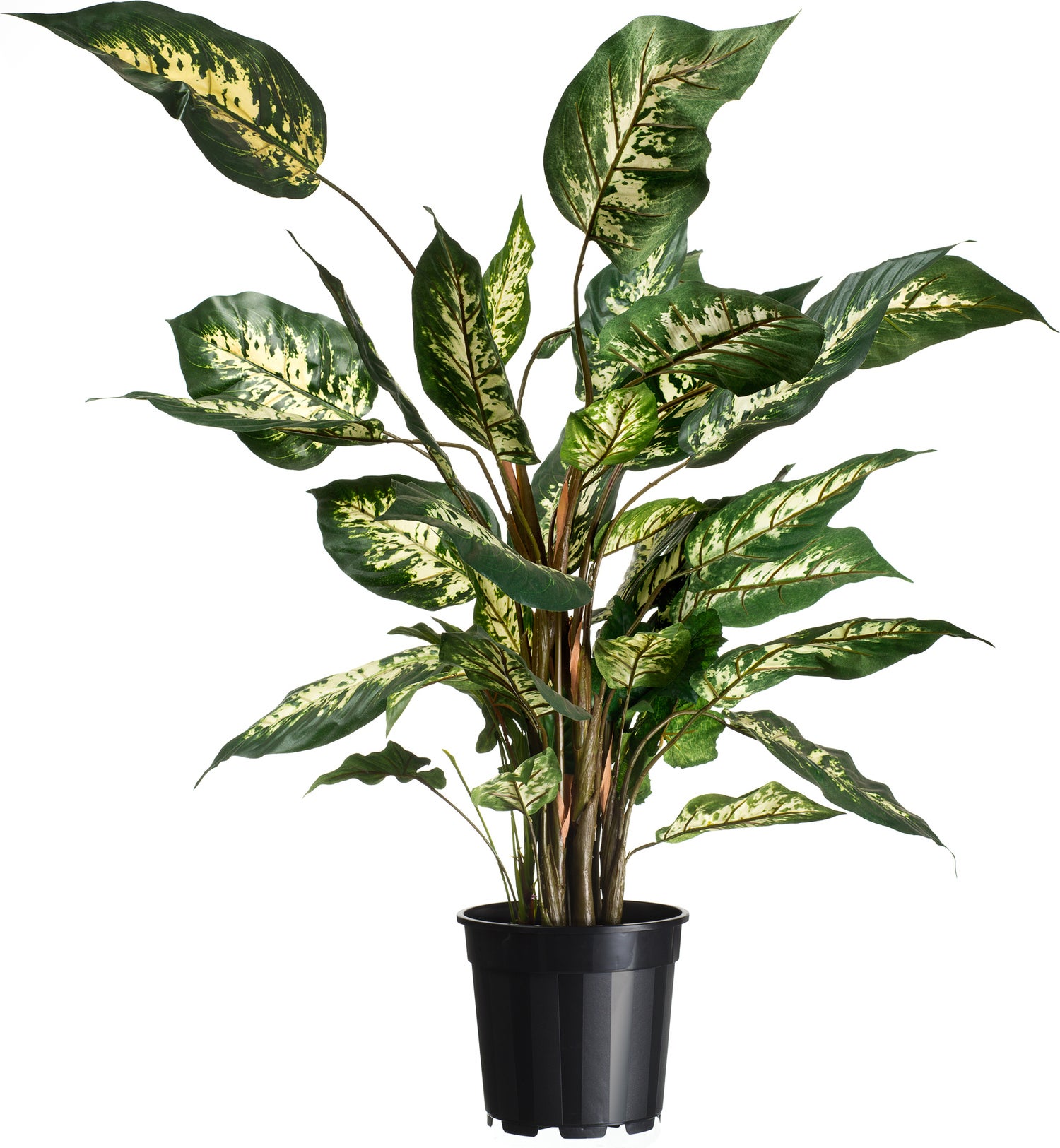 Kamerplantcontainer 6,3 L D 24 cm zwart
