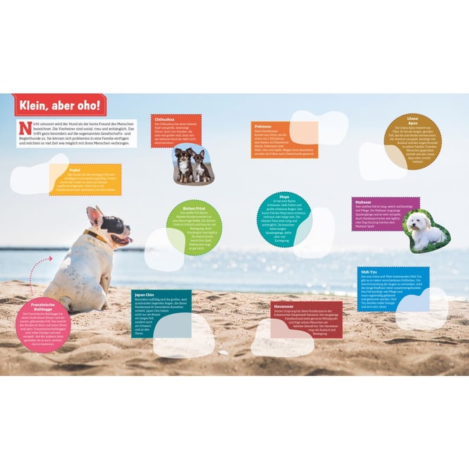 WAS IST WAS - Stickerheft - Hunde