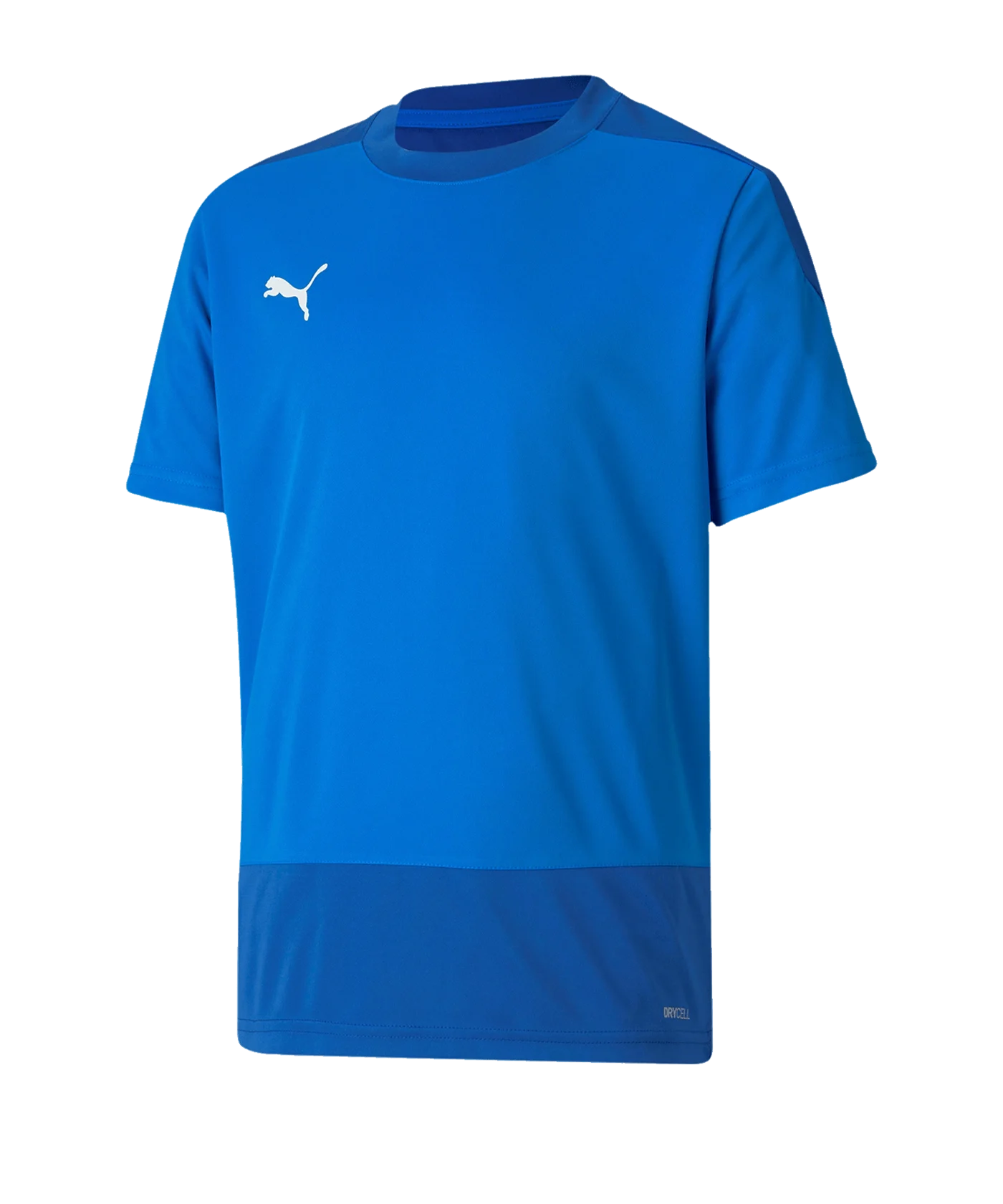 PUMA teamGOAL 23 Training Trikot Kids Blau F02
