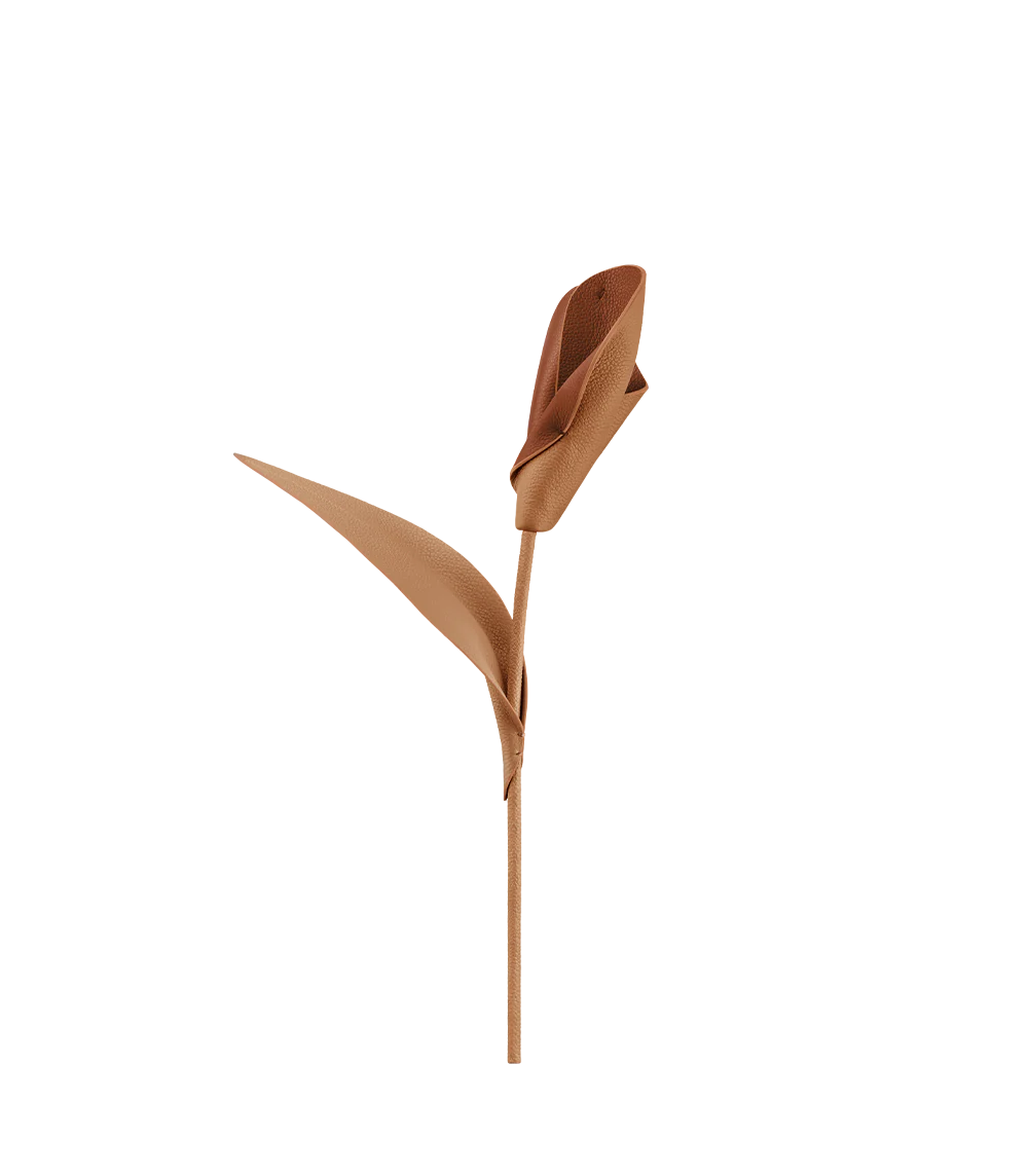 Fleur Pili - Duo Tan Grainé