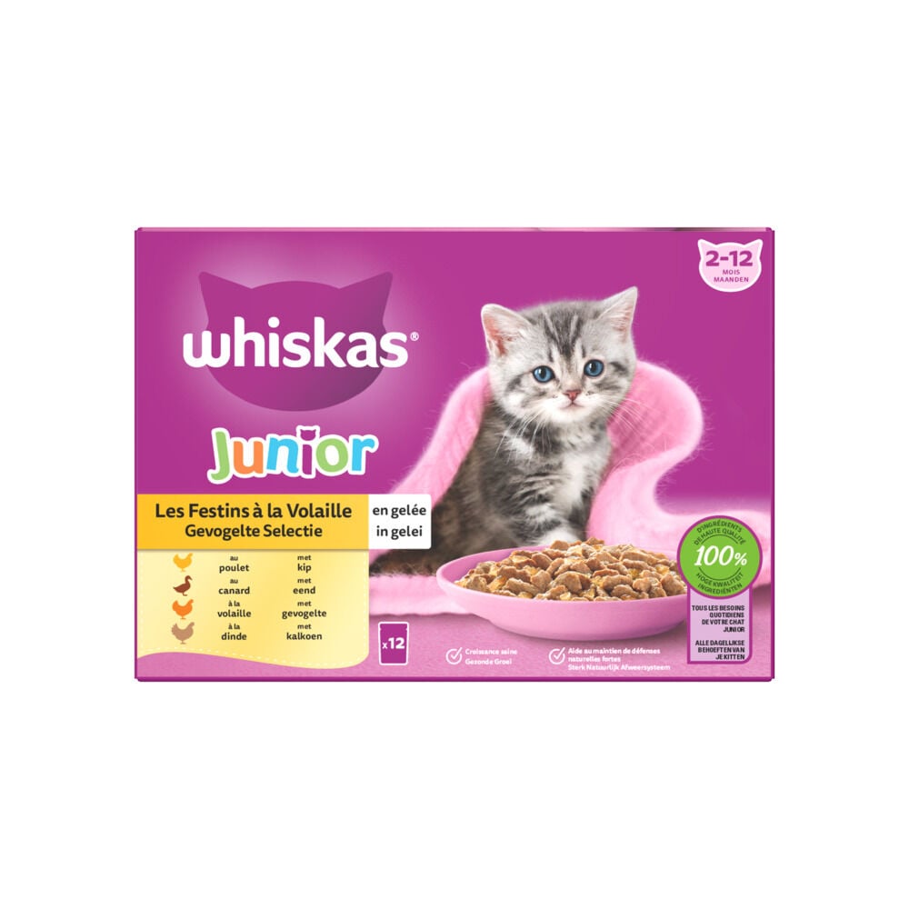 Whiskas  Junior Gevogelte Selectie in gelei - Kattenvoer - 12x85 gram - 1020 Gram - gelei