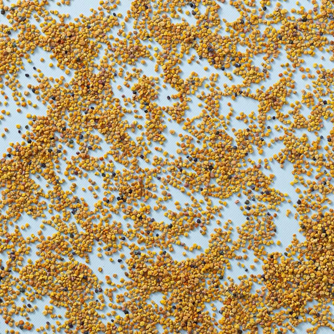 Bijenpollen raw