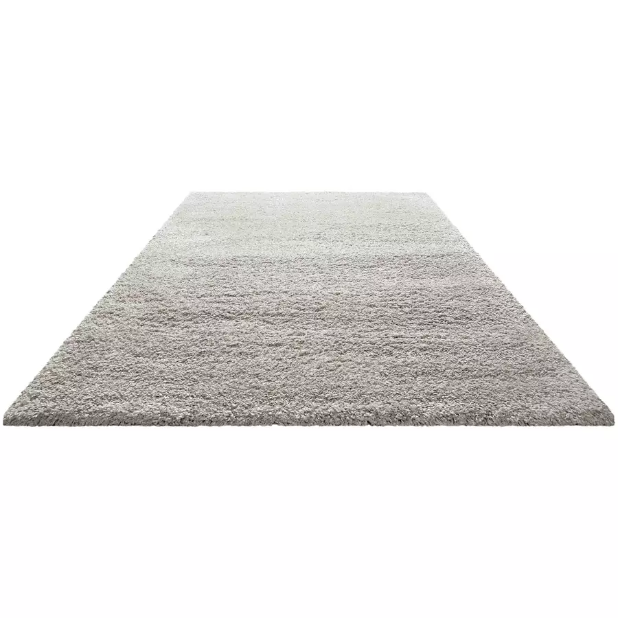 Homie Living Hochflorteppich Bozen creme grau