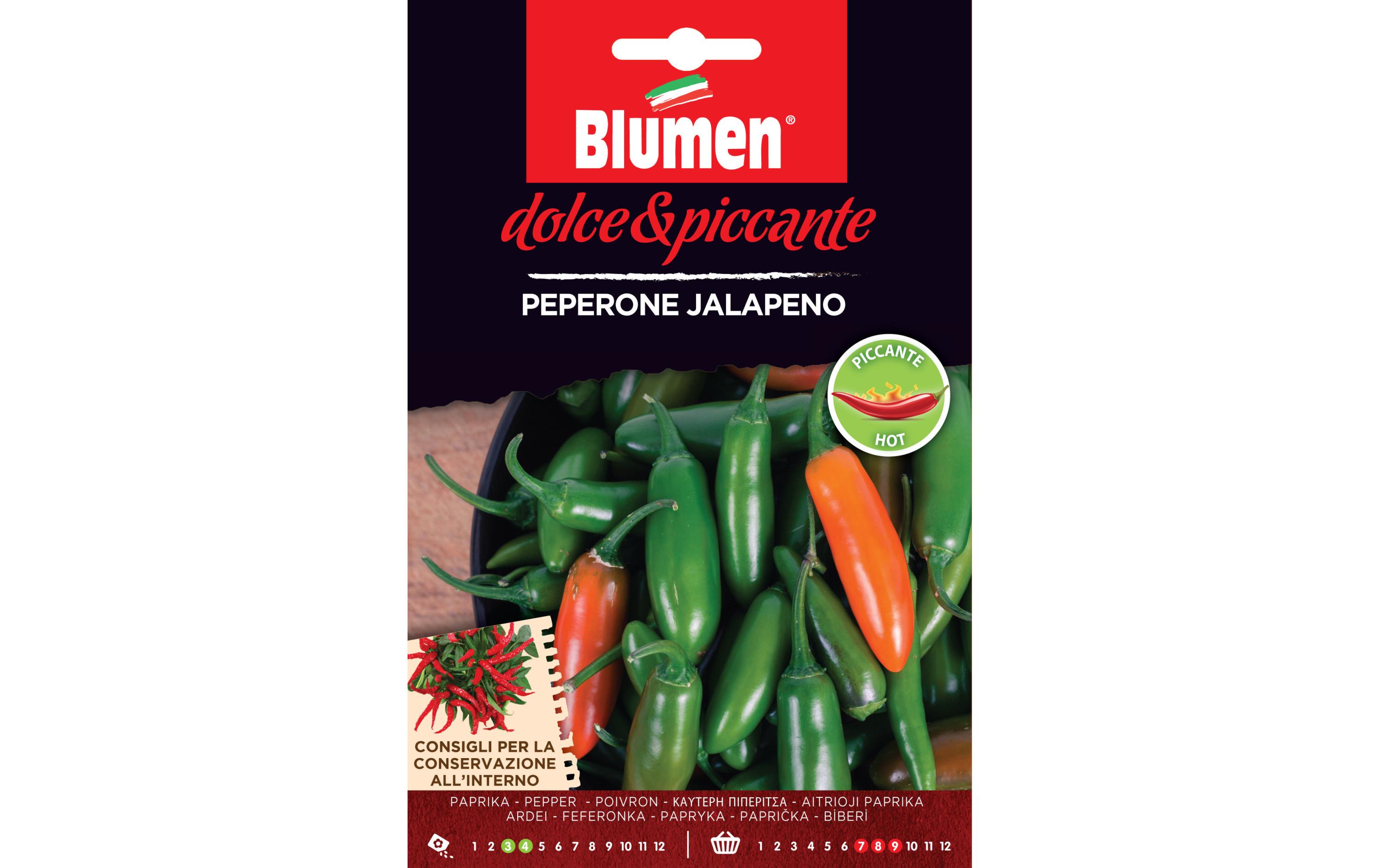 Samen Paprika JalapenoGemüsesamen