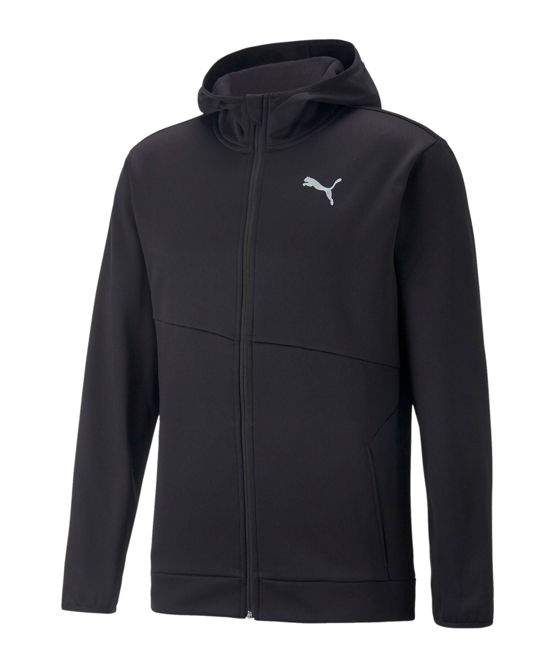 Puma| Herren Lifestyle - Textilien - Jacken TAD Pwrfleece Kapuzenjacke