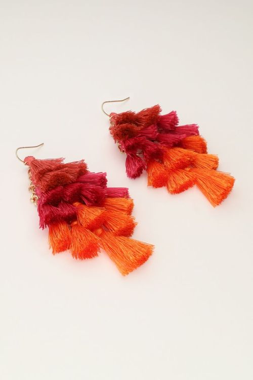 Statement oorbellen met gekleurde flosjes