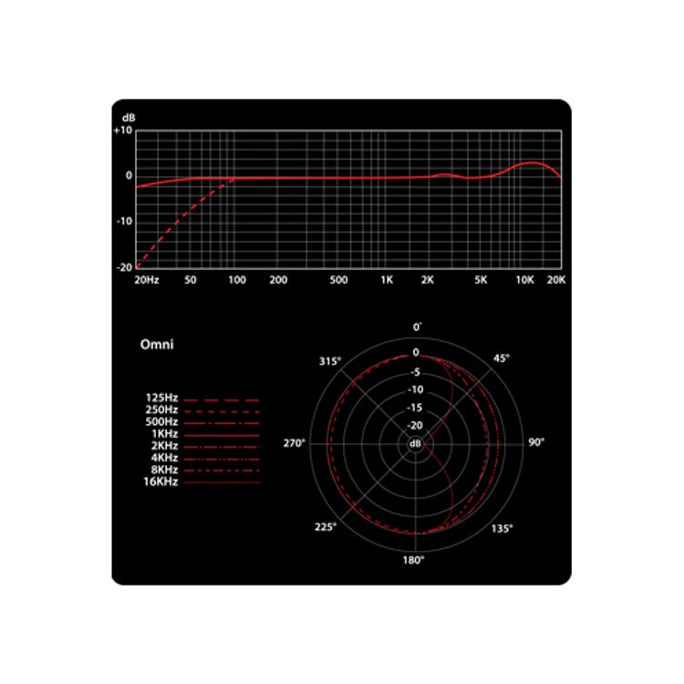 SE Electronics Z5600aII buizen multi condensatormicrofoon