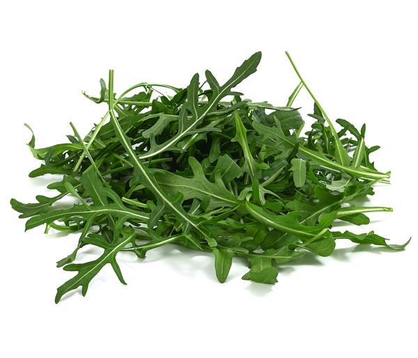 Rucola, 12er Schale