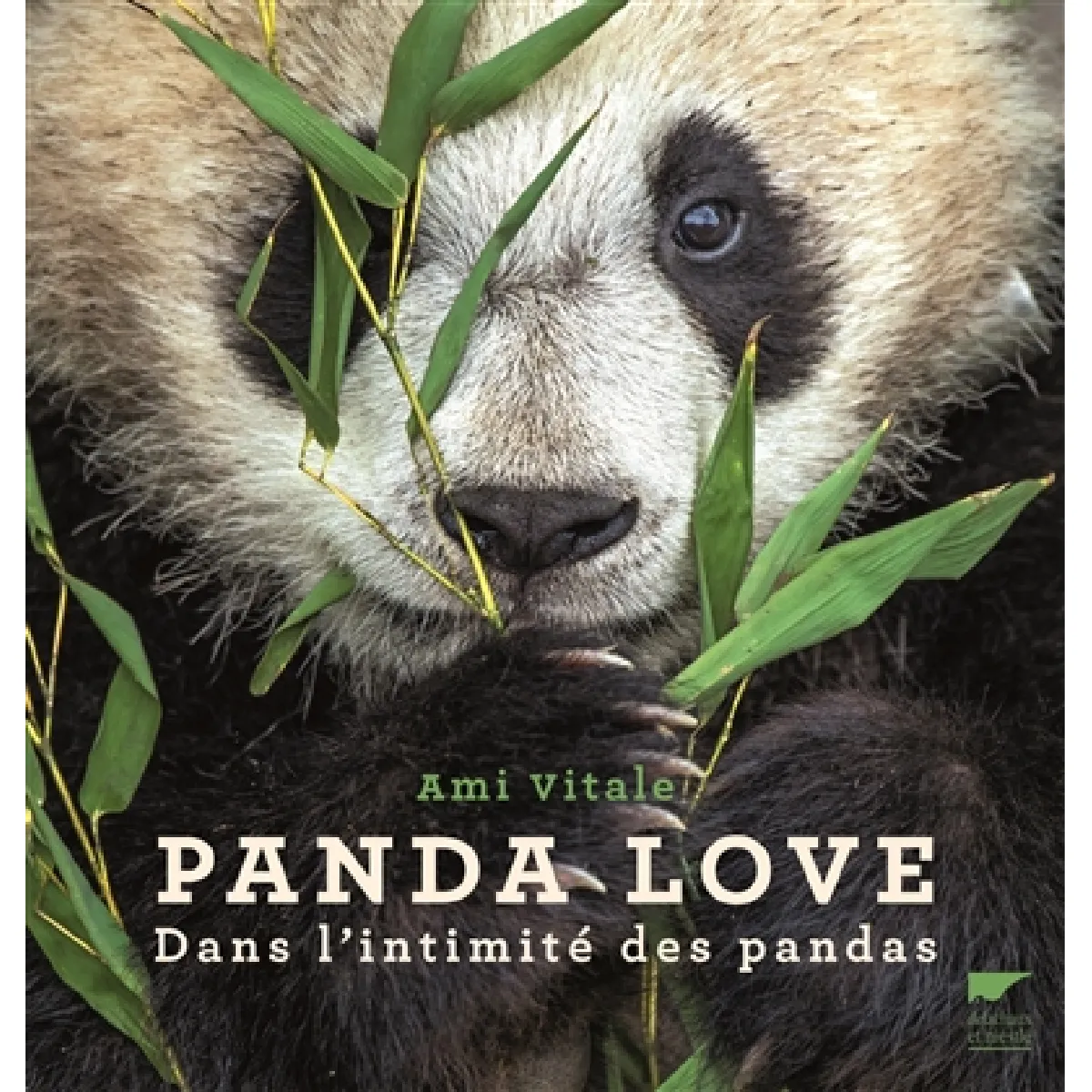 Panda love : dans l'intimité des pandas · Occasion