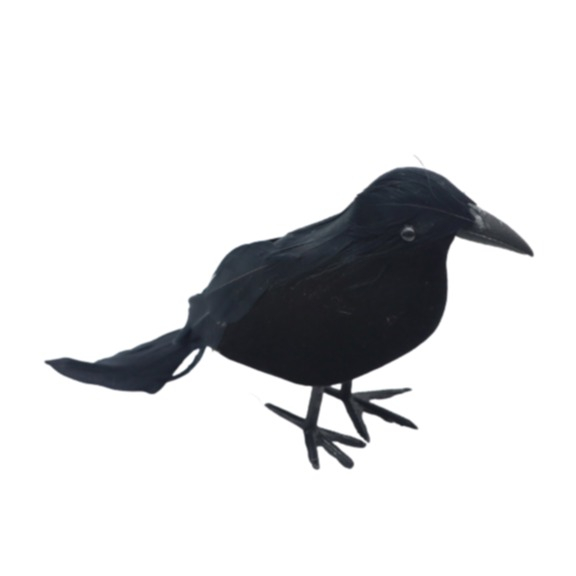 (10cm) Halloween Deko Krähe Kostüm Zubehör Grusel Accessoire Rabe Foto Requisite für Motto Partys / Fasnacht