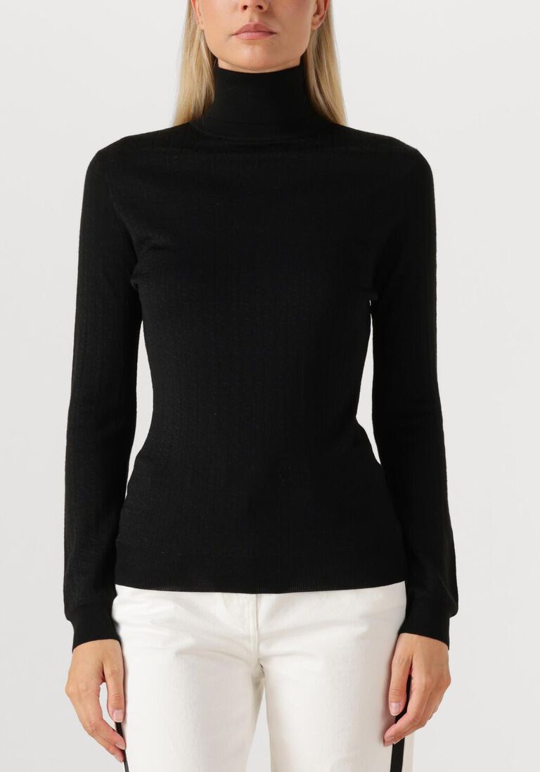 zwarte elisabetta franchi trui knitted sweater