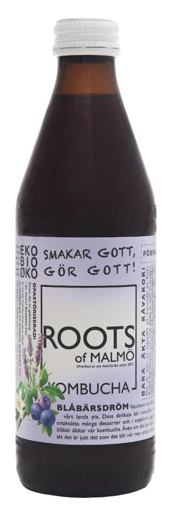 Kombucha Blåbærdrøm