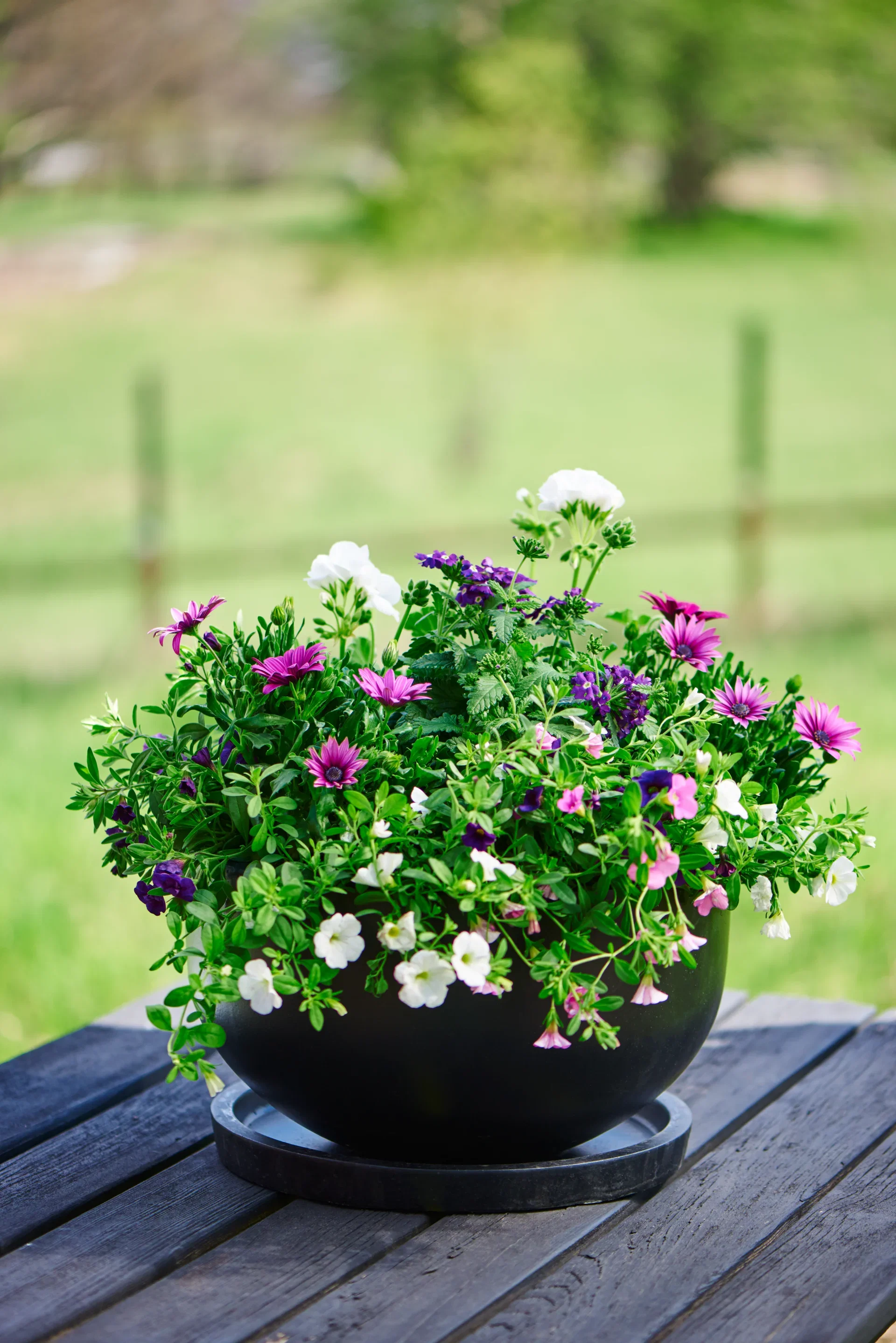 Plantagen Skål Nova Ø44 cm