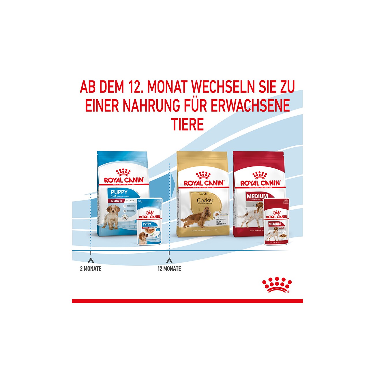 ROYAL CANIN Medium Puppy in Soße 10x140 g