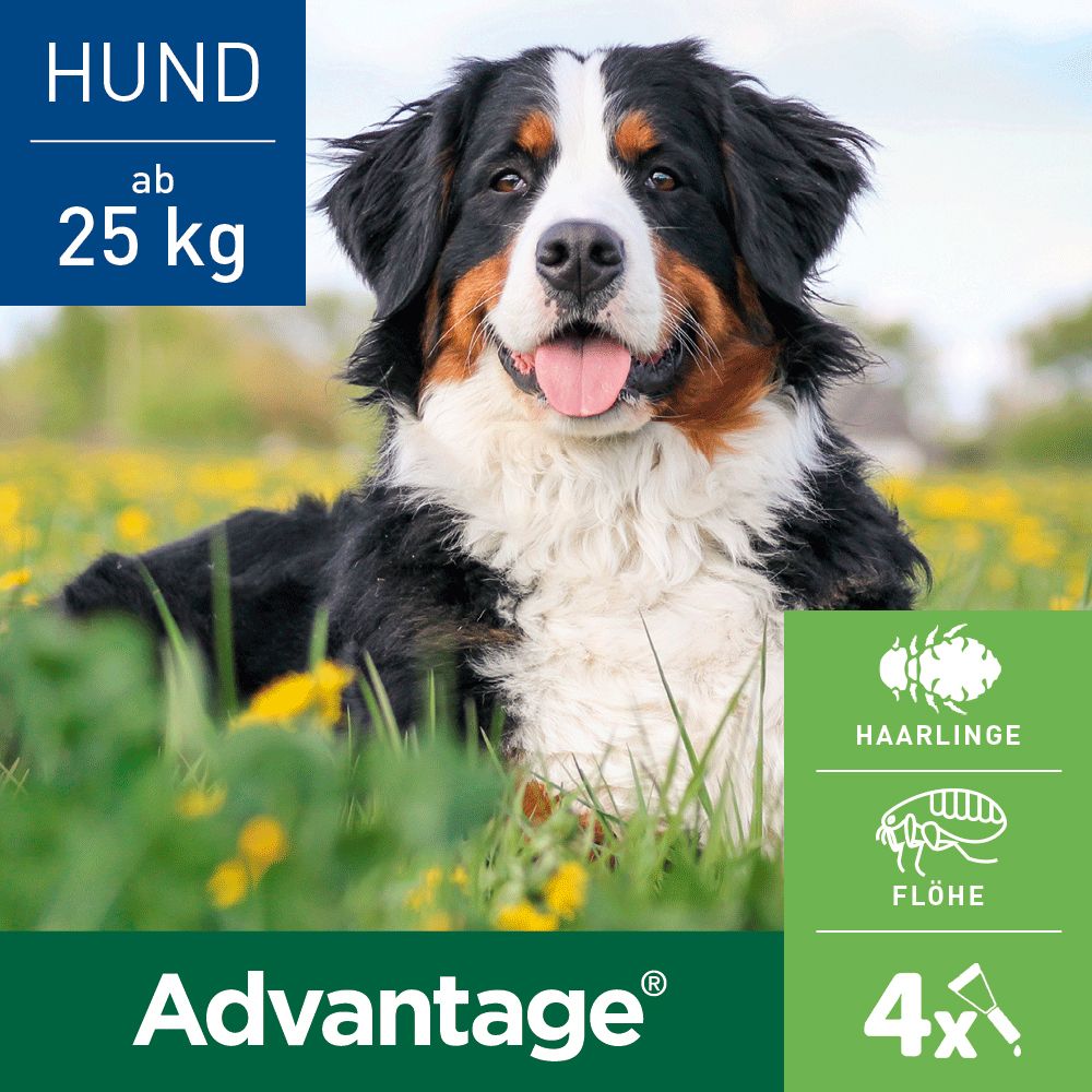 Advantage® 400 mg Spot-On für Hunde 25 - 40 kg