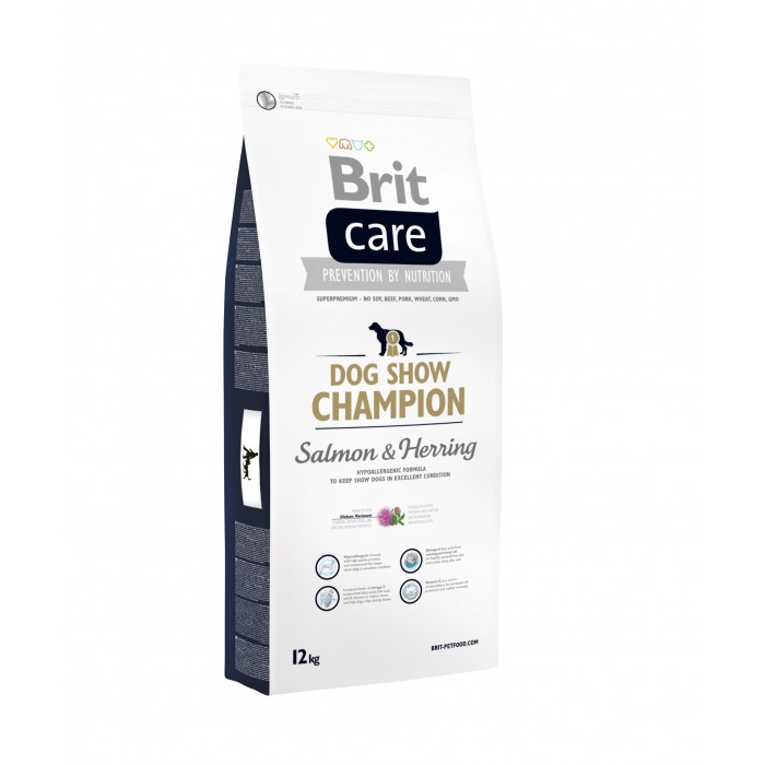 Brit Care Dog Show Champion
