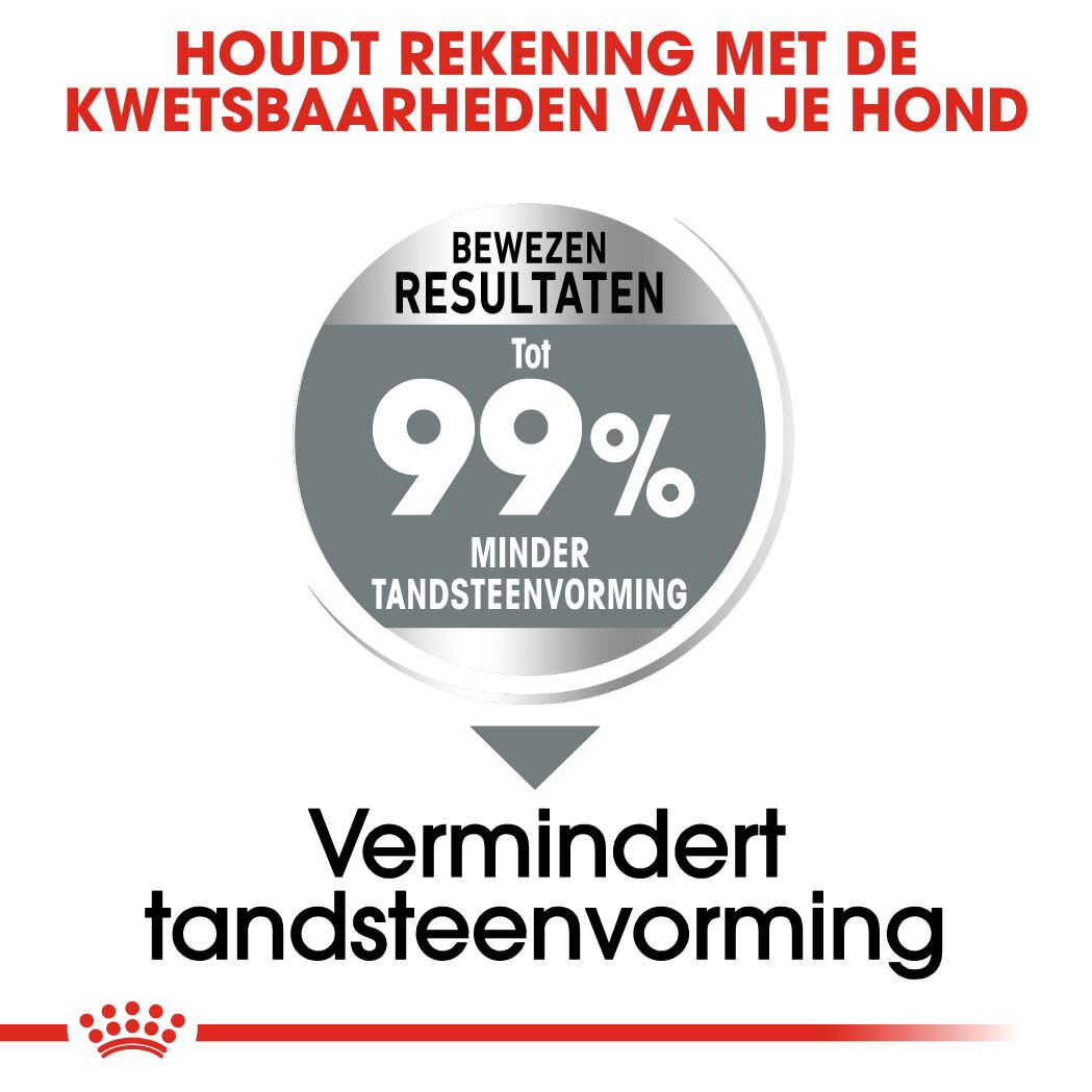 Royal Canin Dental Care Medium - Hondenvoer - 3 Kilogram - gevogelte