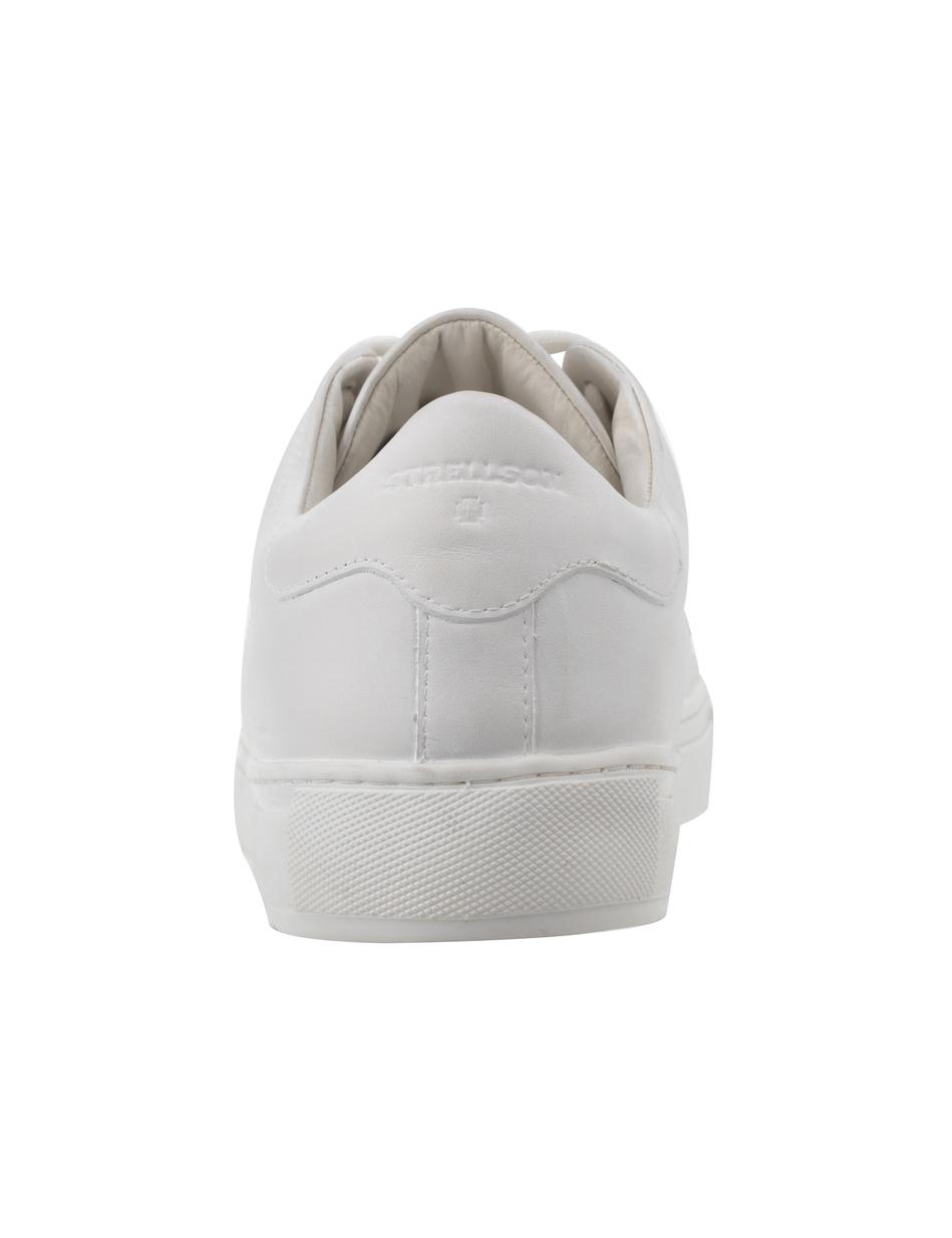 SNEAKER YC7 SOLID EVANS