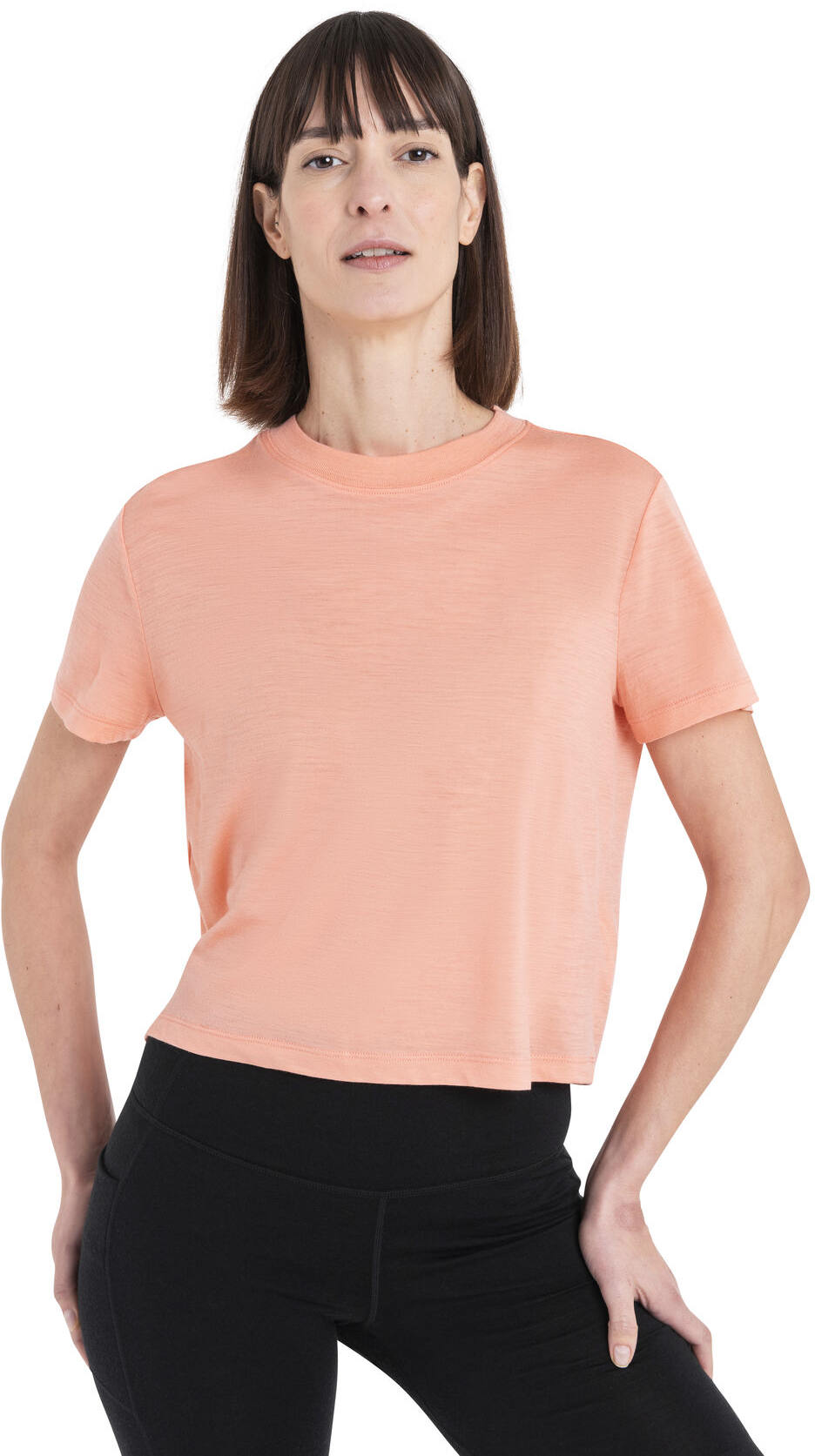 Icebreaker 150 Tech Lite III SS Crop Tee