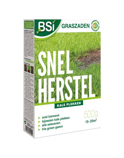 Bsi Graszaad Herstel - Graszaden - 500 g 15-25 M2