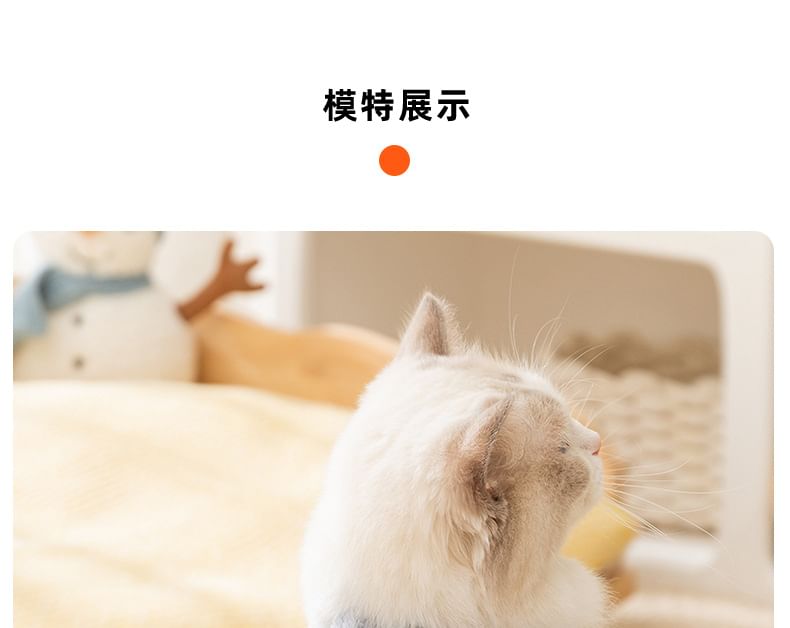 Cissilli - Applicatie Pet Top