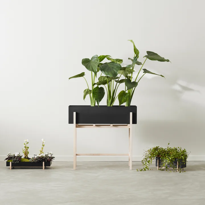 Design House Stockholm - Botanic Box, schwarz / natur