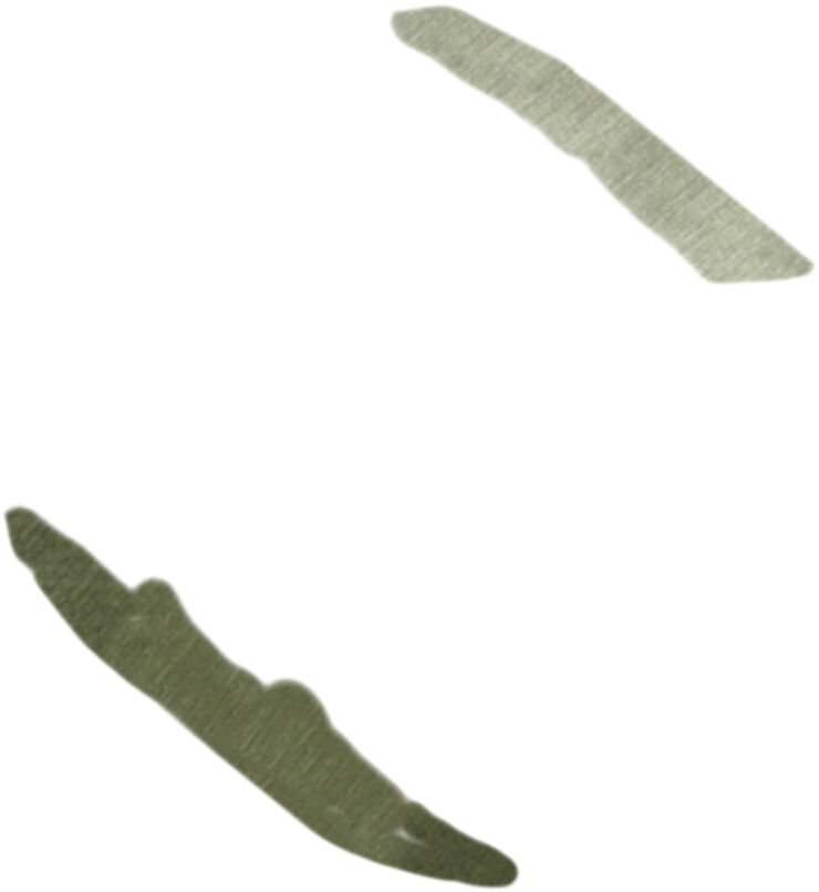 Outdoor diverse Leatherman REBAR Multi-tool Grå