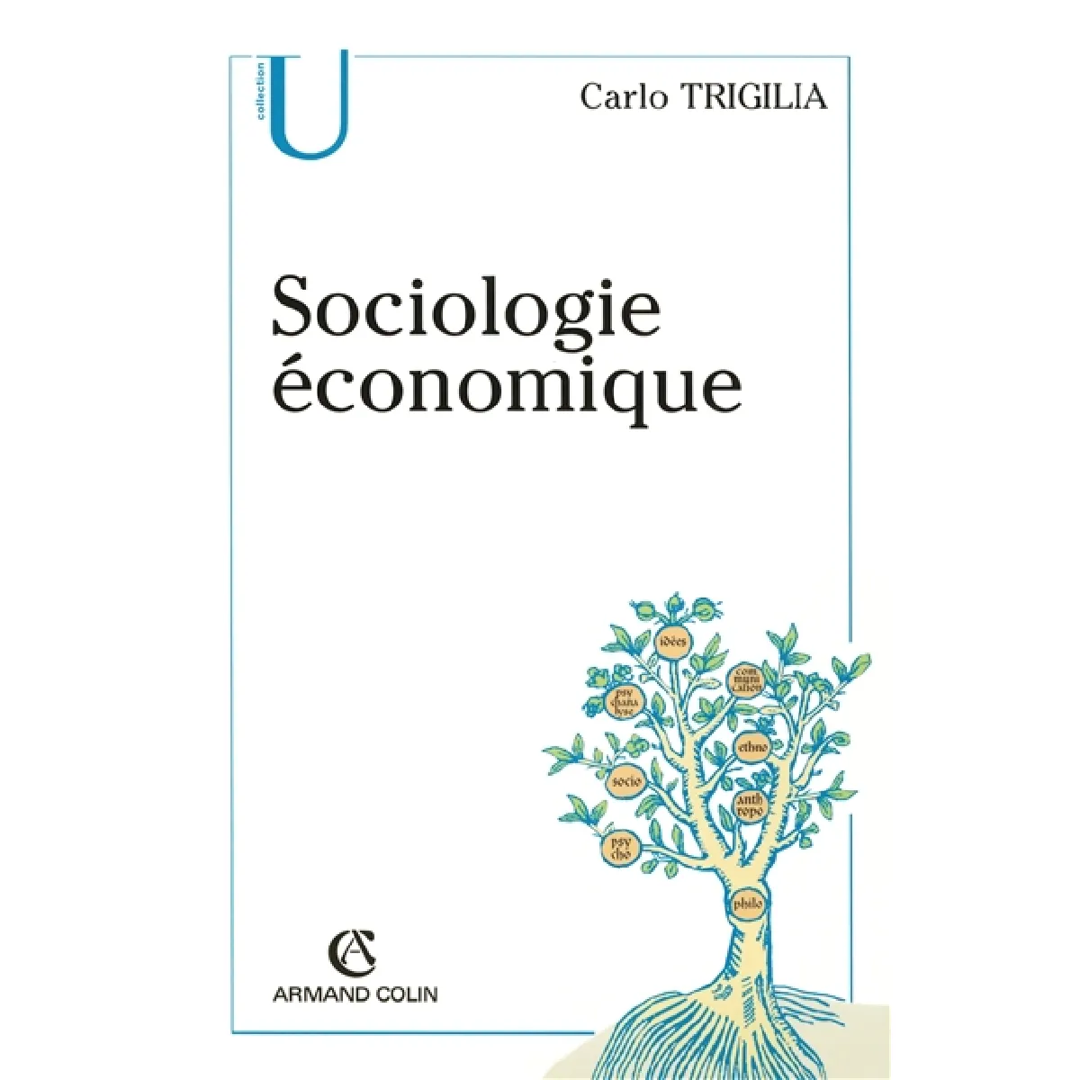 Sociologie économique : Etat, marché et société dans le capitalisme moderne · Occasion