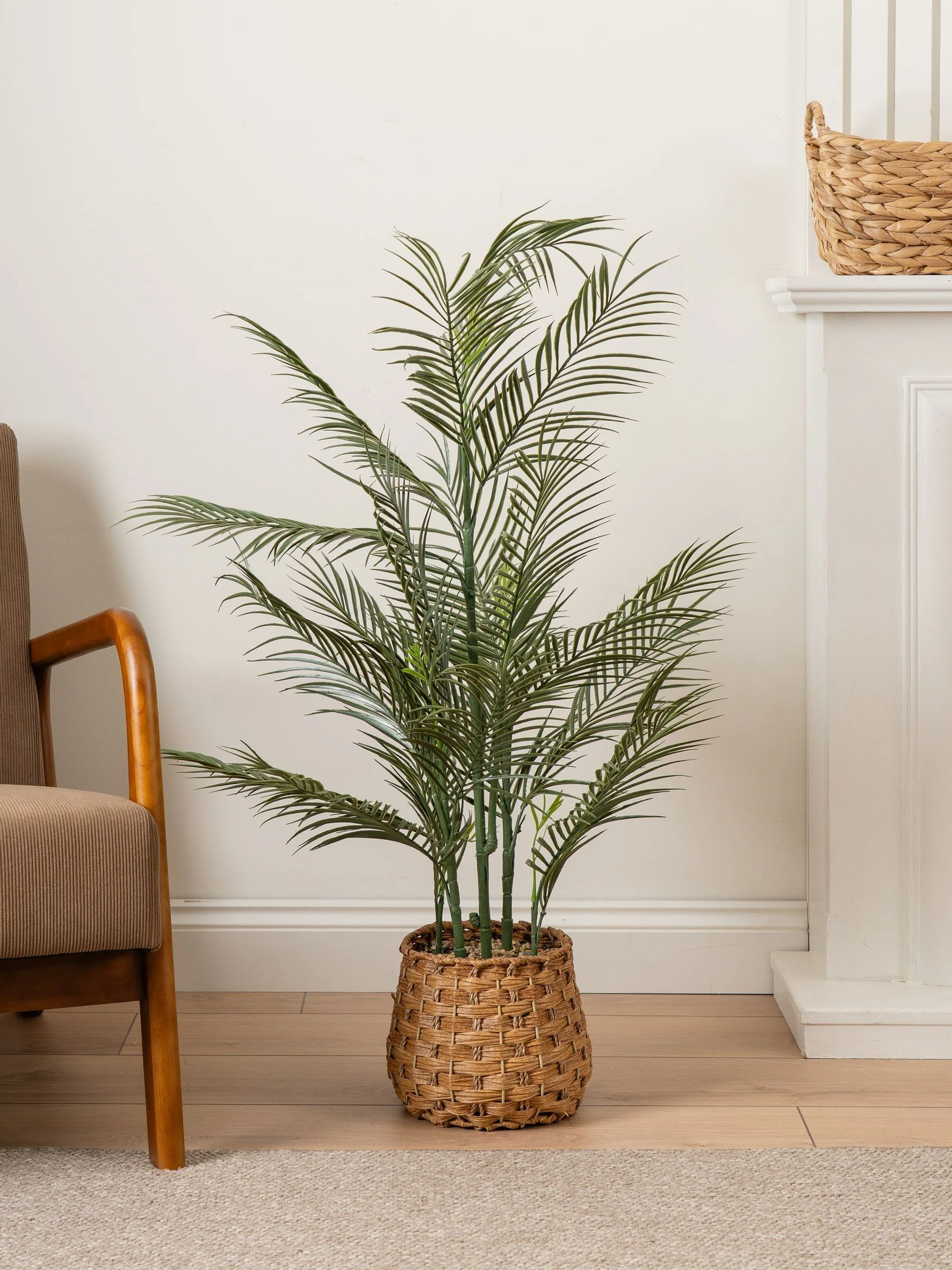 Scottish Everlastings Ltd Artificial Palm Tree in Basket