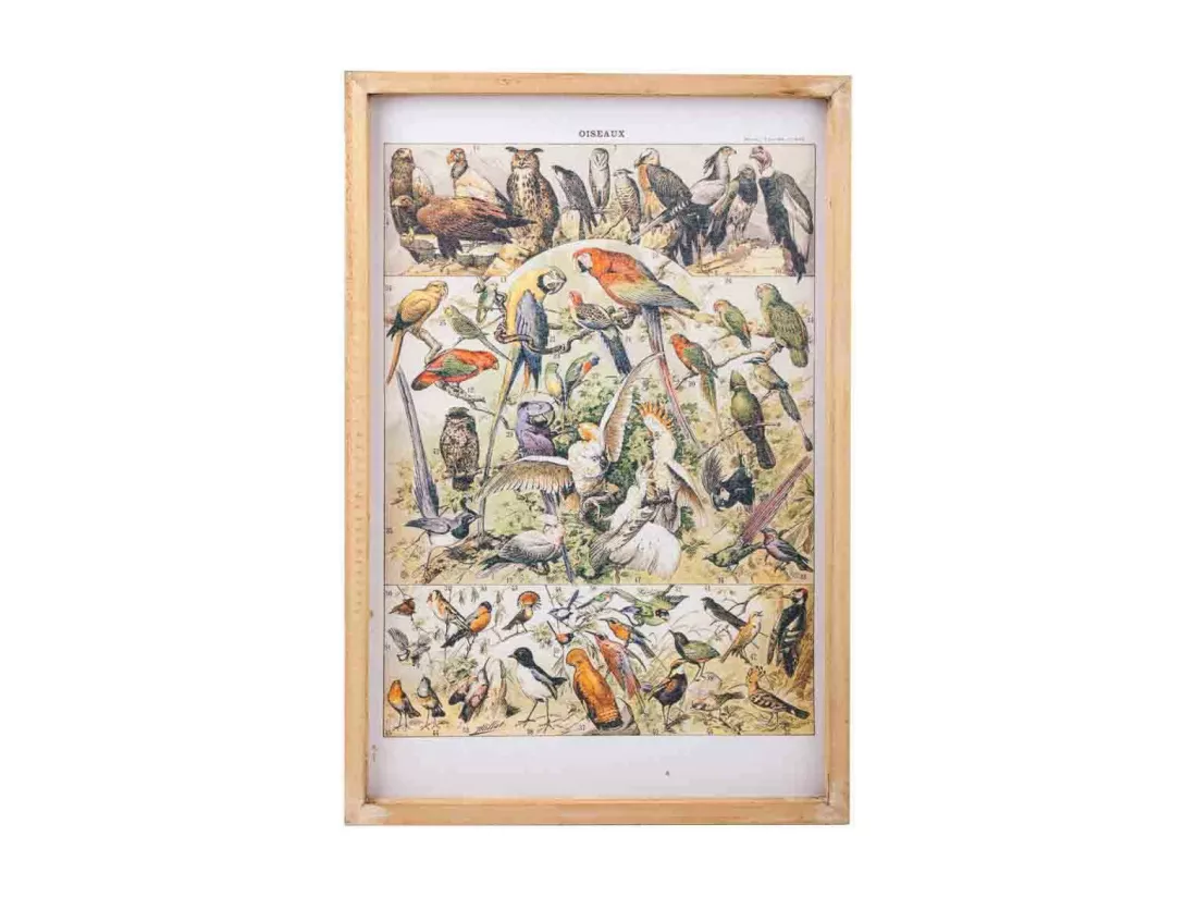 Tableau toile imprimée avec cadre en bois 40x60x2h
