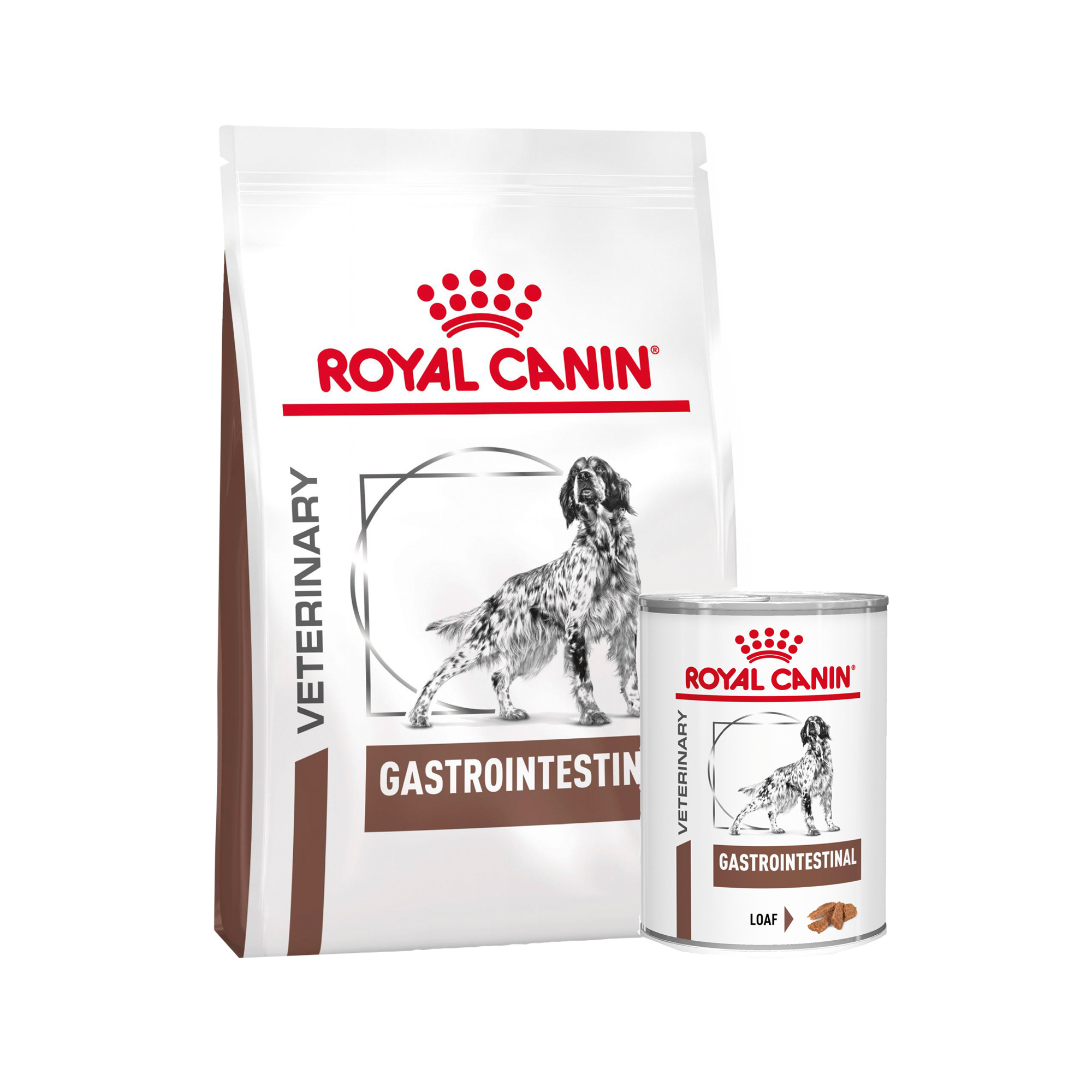 Royal Canin Gastrointestinal Hond