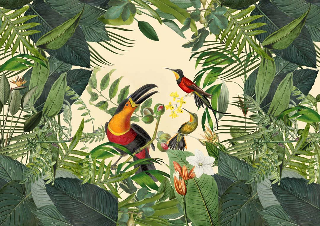 Tropischer Tukan von Andrea Haase