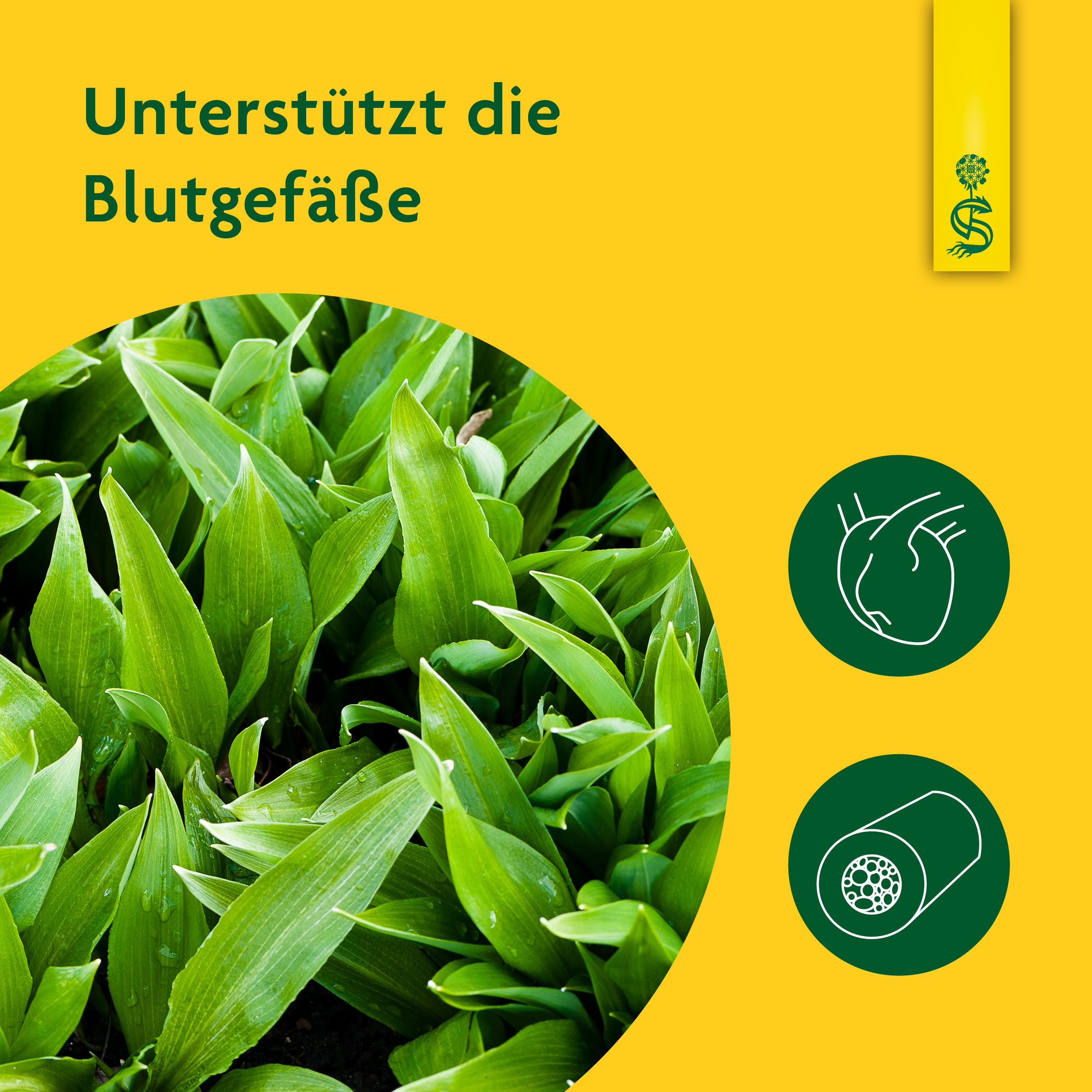 Schoenenberger® naturreiner Pflanzensaft Bärlauch