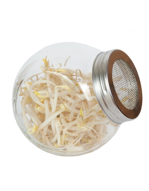 Buzzy Organic Sprouting Pot Tauge  Bio - Groentezaden - 10 g