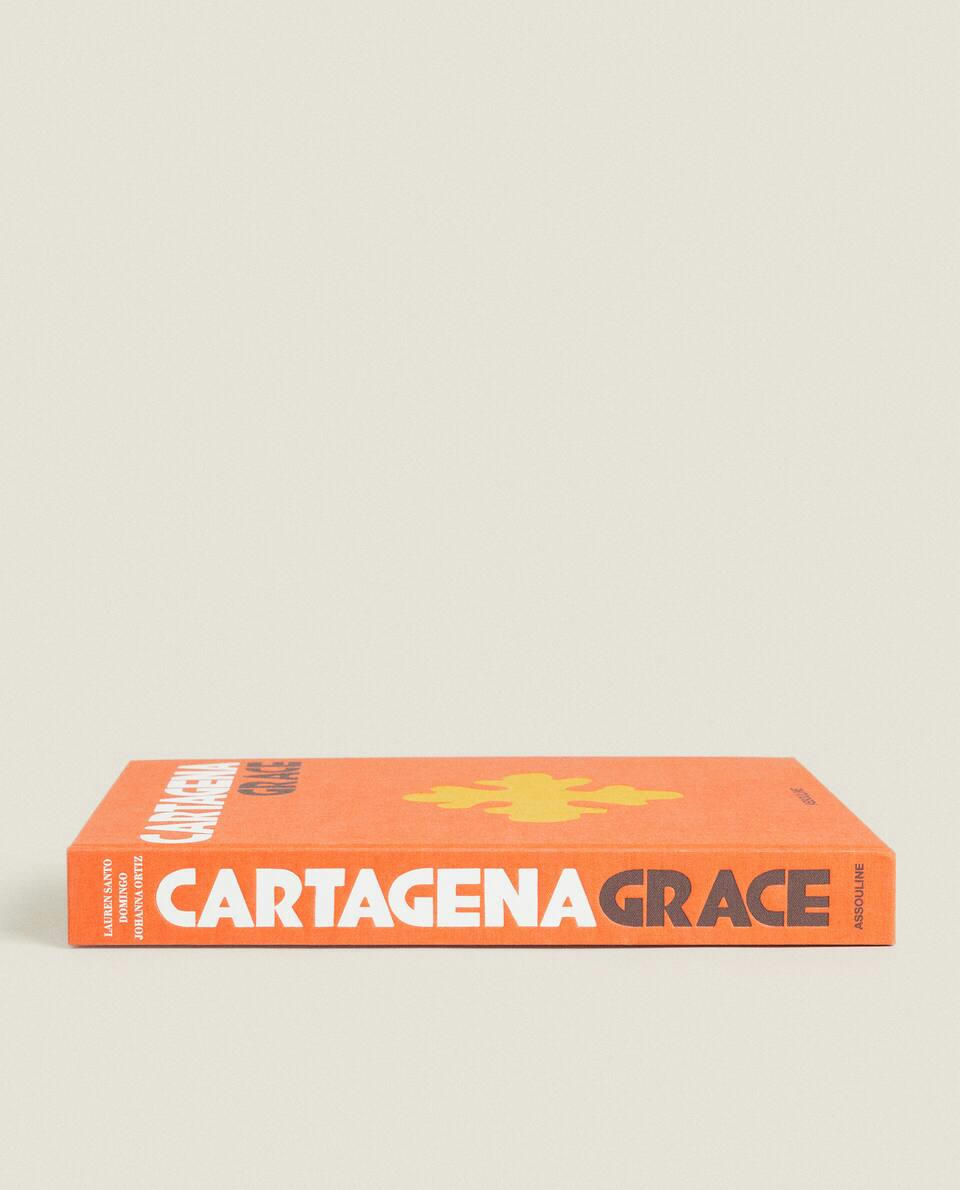 LIVRO DE CARTAGENA ASSOULINE