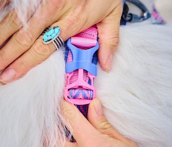 Non-stop dogwear Hundegeschirr Line Harness