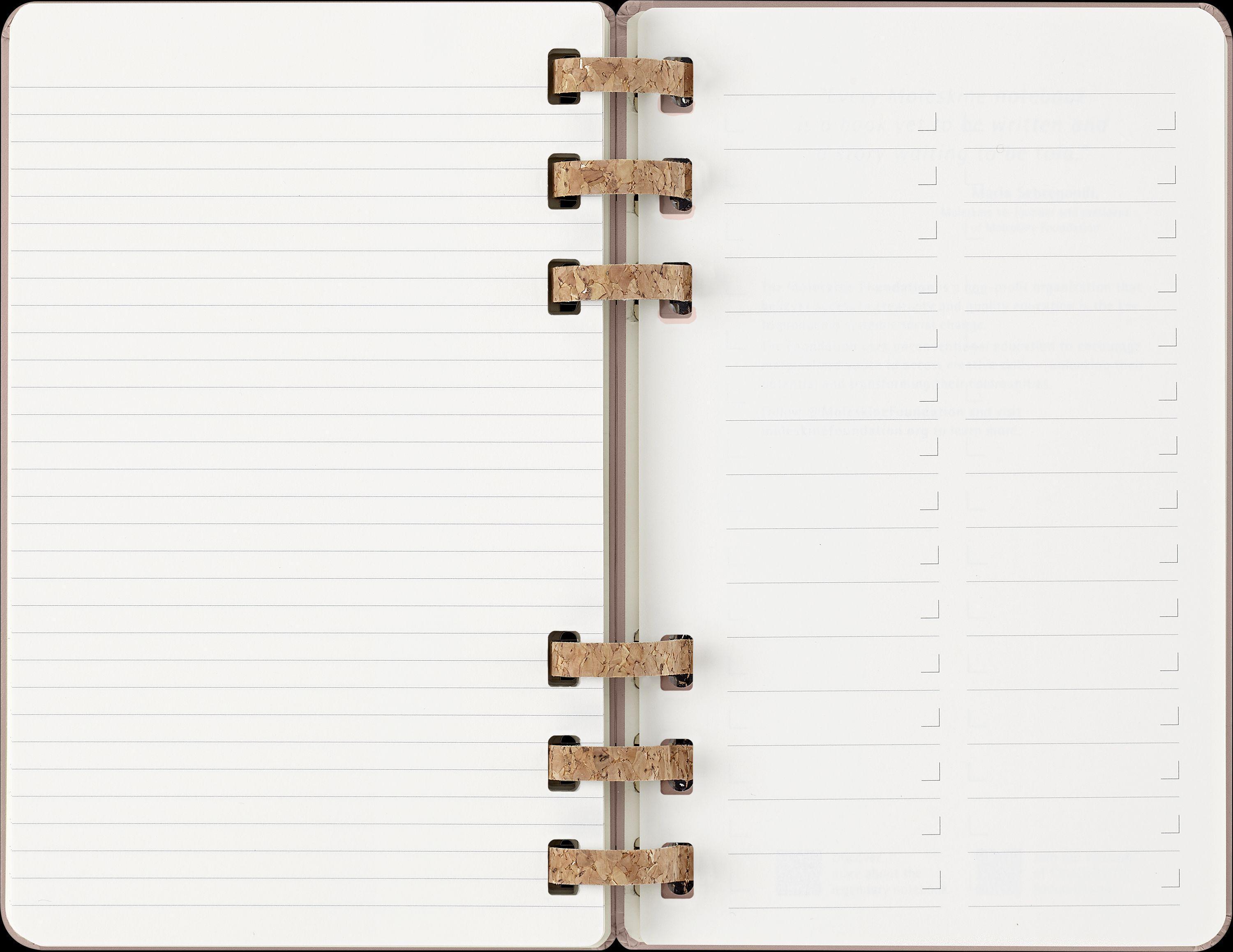Moleskine 12 Monate Planer mit Spiralbindung, L/A5