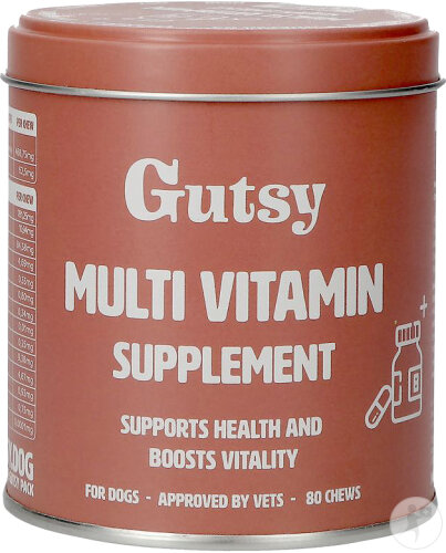 Gutsy Multvitamin Supplement Pot 200g