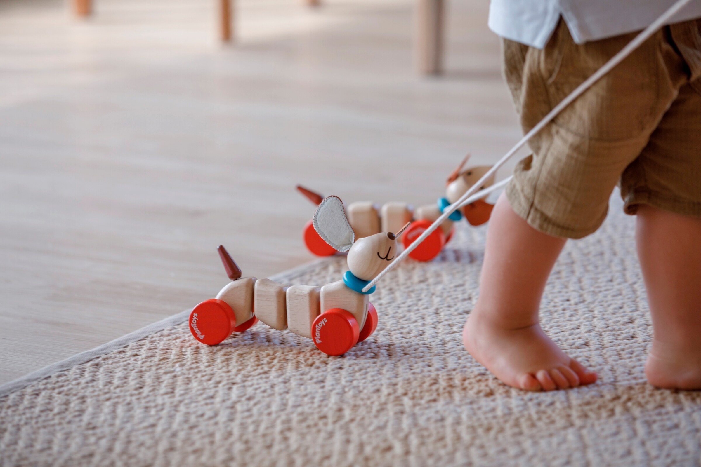 PlanToys Ziehtier Happy Puppy