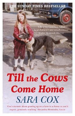 Till the Cows Come Home (Paperback)