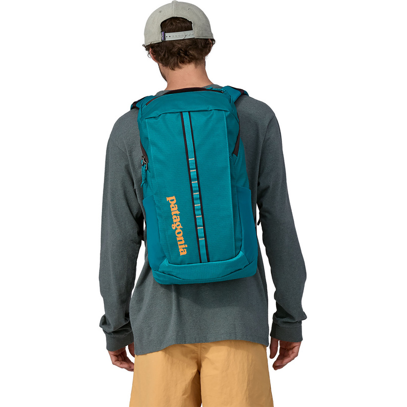 Patagonia Black Hole 25L Rucksack