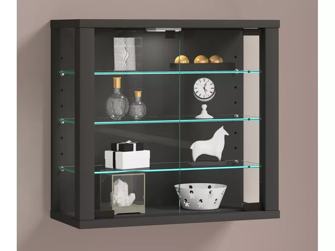 Vitrine murale Vitrosa S