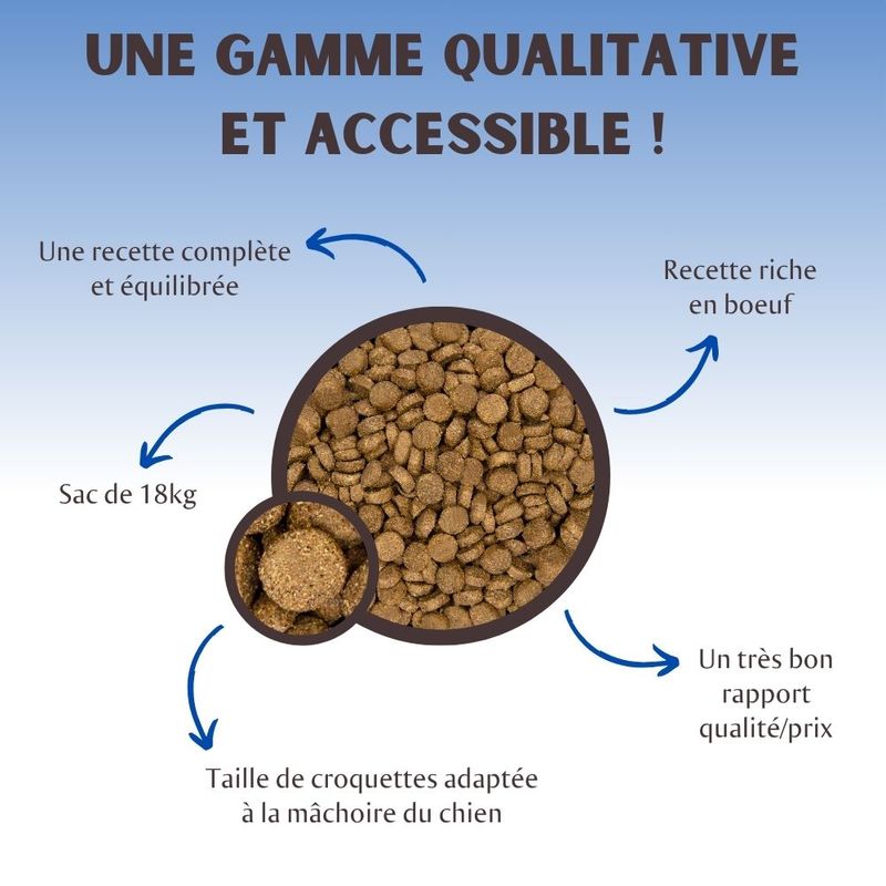 Nutrivet TAO Maintenance bœuf